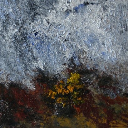 Gorse